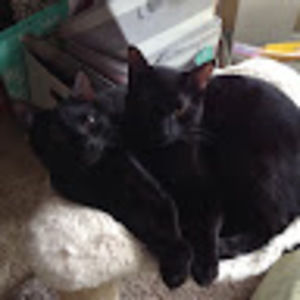 Meet your Posher, Logan